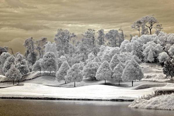 Photograph Ivan Joshua Loh Tropical on One Eyeland